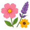 گل و گیاه زینتی