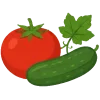 صیفی‌جات