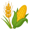 زراعی